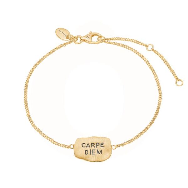 Christina - Carpe Diem Armbånd- forgyldt sølv 601-G27