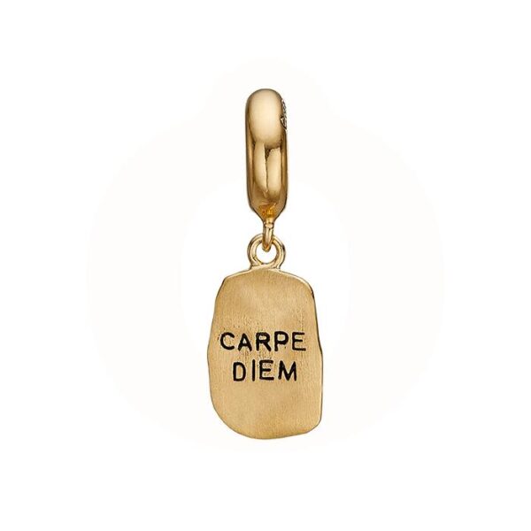 Christina - Carpe Diem Charm forgyldt sølv 623-G212